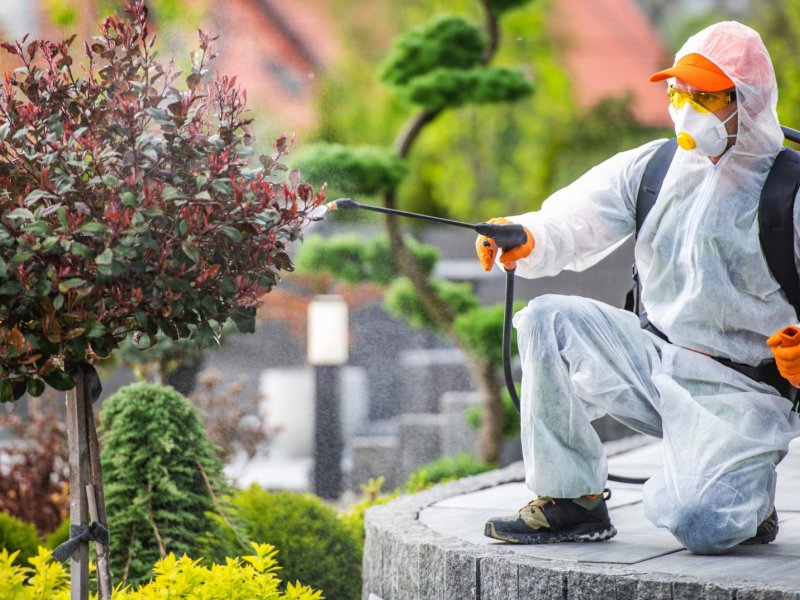 Kapaklı Haşere İlaçlama